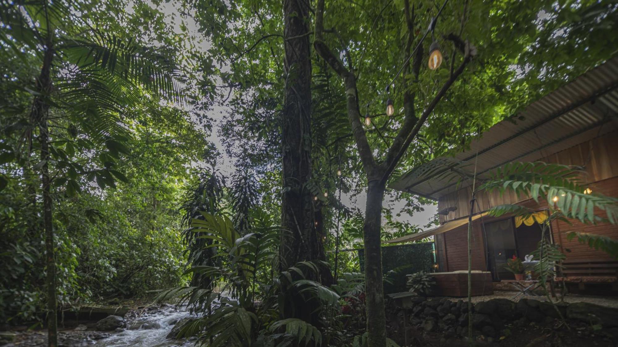 The Frog House Leilighet La Fortuna Eksteriør bilde