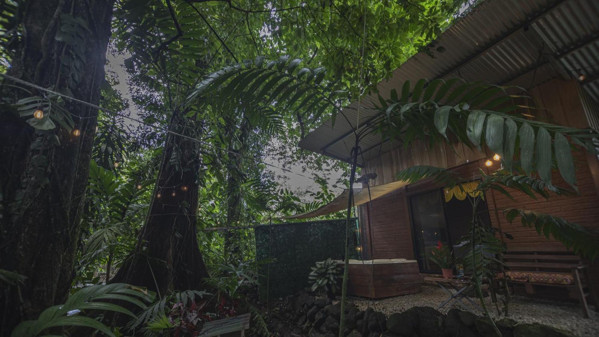 The Frog House Leilighet La Fortuna Eksteriør bilde