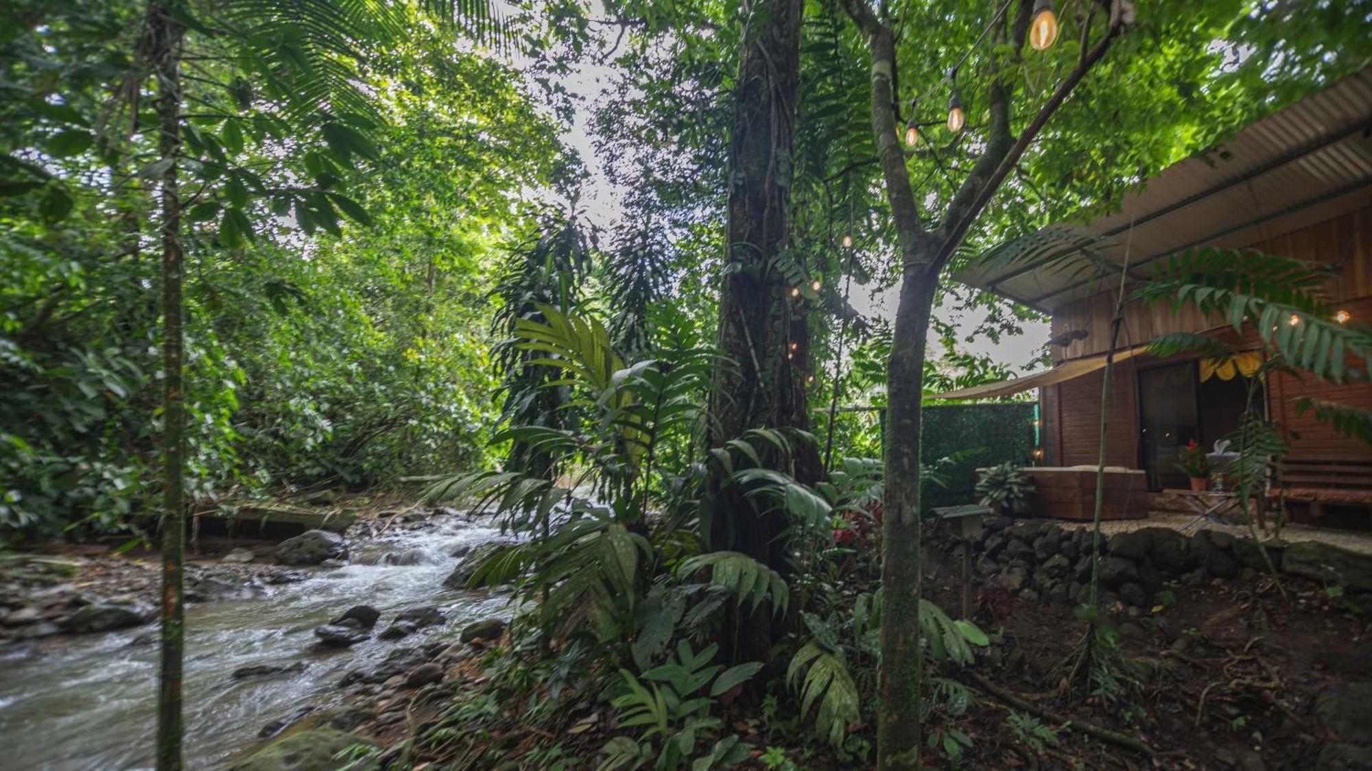The Frog House Leilighet La Fortuna Eksteriør bilde